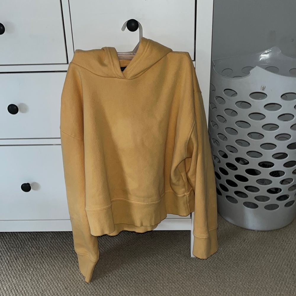Zara Cropped Hoodie